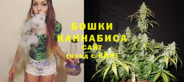 шишки Коряжма