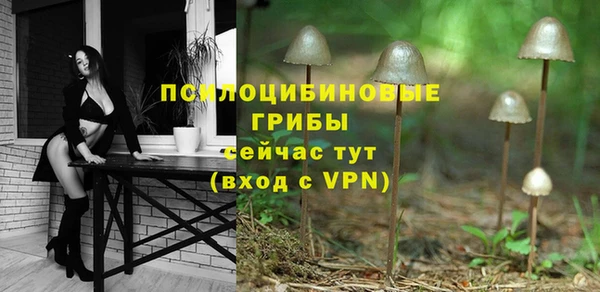 MDMA Premium VHQ Ленинск