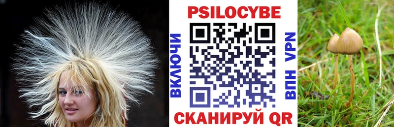 наркота  Старый Крым  Псилоцибиновые грибы GOLDEN TEACHER 